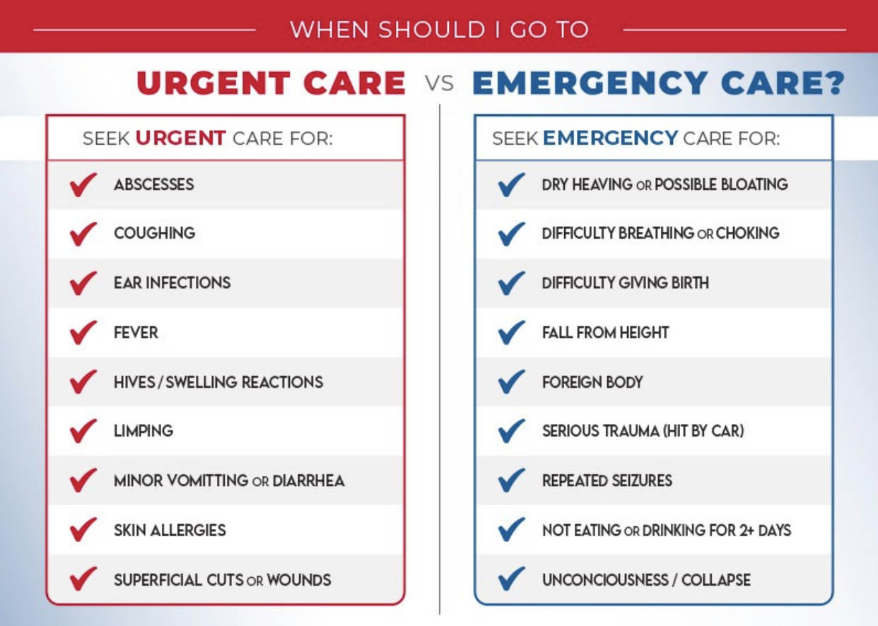 Urgent care for pets in fowlerville mi fowlerville veterinary clinic